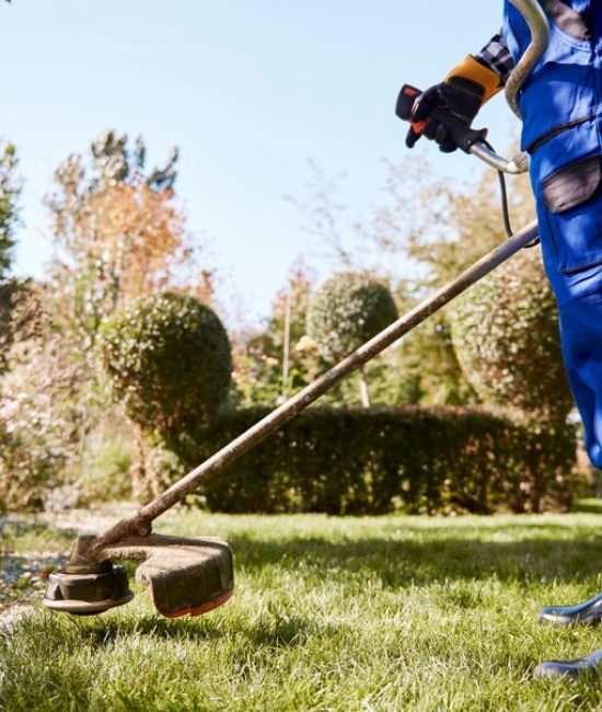 gardener-with-weedwacker-cutting-grass-garden_329181-20539
